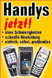 Bischon friseWir haben 3 gesunde und wundersc