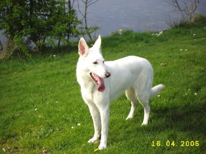 Suche neues zuhauseHallo ich bin eine kinderl