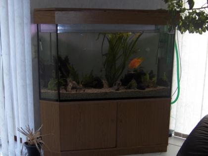 Komplettes 650 Liter Aquarium