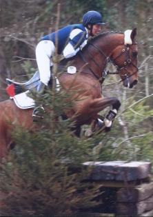 Suche erfahrene zuverlässige Reitbeteiligung in 61250 Usingen-Eschbach