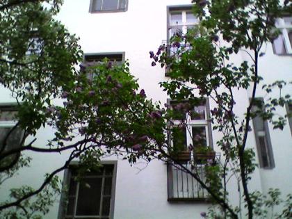 Tausche Wohnung mitten im Szene Kiez Friedrichshain gegen Amsterdam