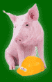 Schwein gehabt Geld gespart