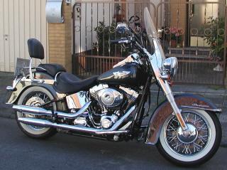 FLSTNI Softail Deluxe - Harley-Davidson Saison 2021