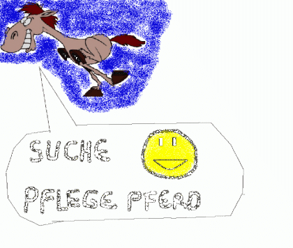 SUCHE PFLEGEPFERD IN VORARLBERG D