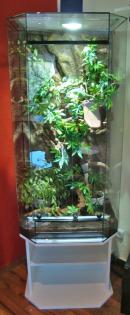 Terrarien zu fairen Preisen TOP-Qualität sofort auf Lager