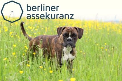 Haftpflicht für Ihr Tier schon ab 39 87 Euro