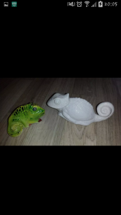 Suchen in Potsdam oder nähere Umgebung Chamelion