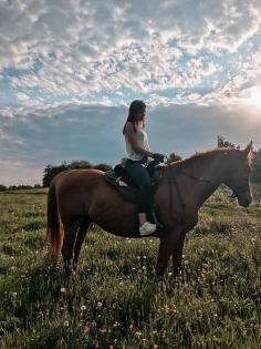 Ich suche eine Reitbeteiligung Reiter sucht Pferd