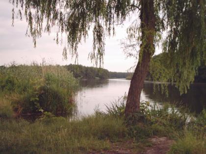 Ferienhaus zwischen Ostsee u. Peenestrom Haustiere angenehm