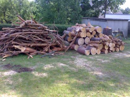 Biete ca 6-7 Festmeter Holz KIEFER in tragbare Teile geschnitten an Selbstabhol