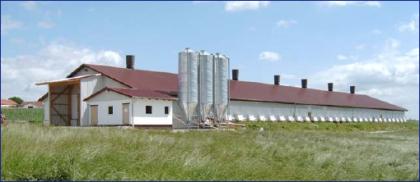 Suche solvente Investoren zum Aufbau einer Landwirtschaft