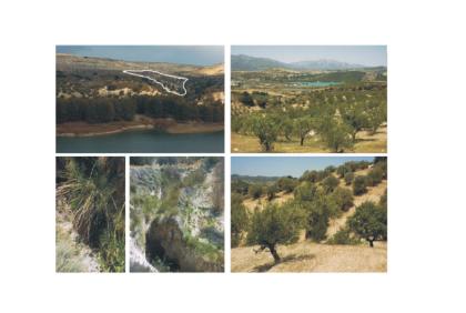 EILVERKAUF Gelände für Campingplatz in Südspanien Andalusien