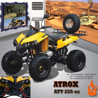 Motoroller-Quads-Mofaroller-MTB Glücksgefühle zu fairen Preisen