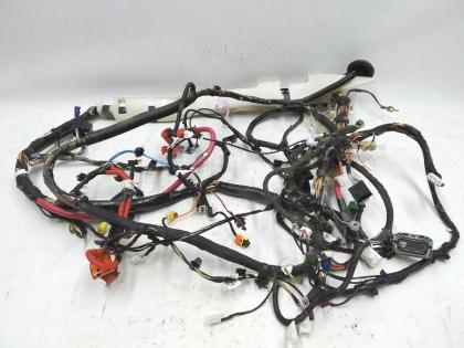 Innenverkabelung rechts Premium Tesla Modell 3 1067955-00-G