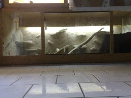 Terrarium in XXL B1 80 H0. 70 T 0 69