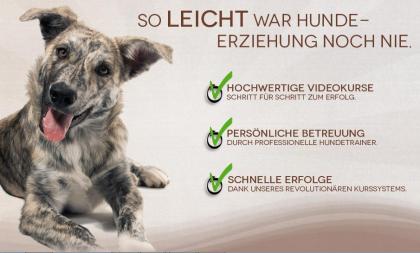TopDogs Online Hundeschule