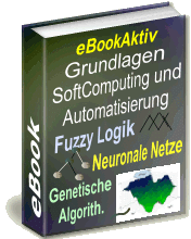 Grundlagen SoftComputing Fuzzy Logik Neuronale Netze