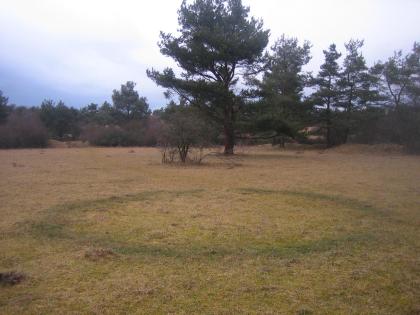 Schlafplatz als Krankheitsursache
