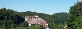 -Idyllisches Bergdorf im Nationalpark Harz- 5 Eigentumswohnungen im Paket oder n
