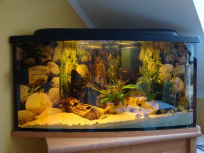 200l Eck Panorama Aquarium Komplett
