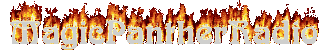 Webradio DJ /Moderator Gesucht