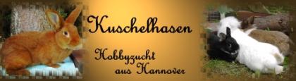 Liebe Kaninchen von jung bis alt von klein bis groß