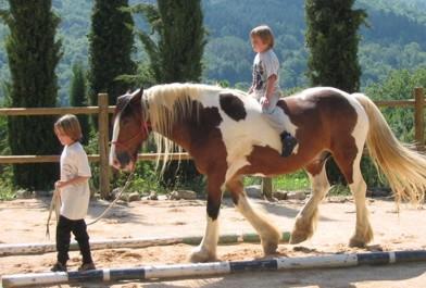 Ferien mit Pferden in der Toskana Italien