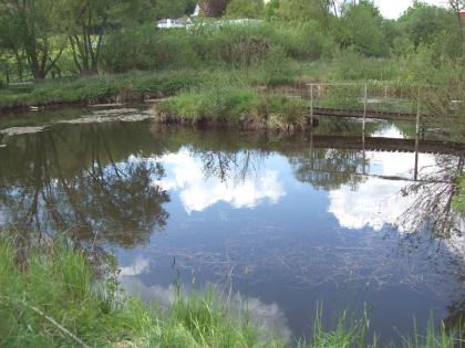 Fisch Zucht Anlage 5 Teiche auf 7100m Grundstück