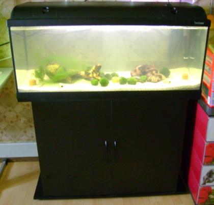 160 L Komplett Aquarium zu verkaufen
