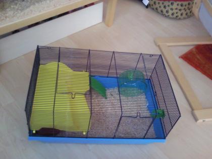Kleintierkäfig 1 Monat alt