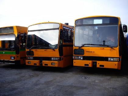Iveco Linienbusse 30 Stück lieferbar