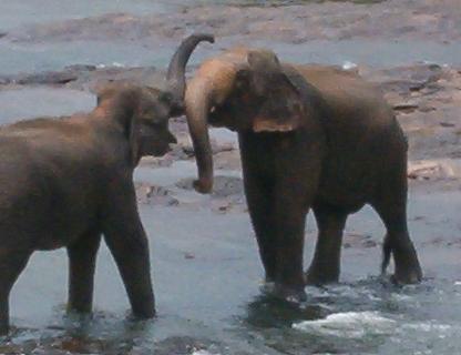 Sri Lanka 2022/10 Winter