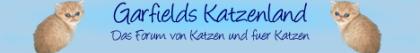 Fragen rund um das Thema Katze - wir beantworten sie gern