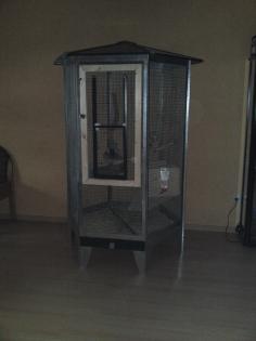 2 Chinchillaböckchen zu Verkaufen mit Käfig und Zubehör 150Euro VB.