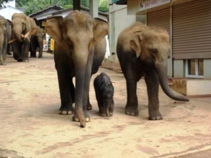 Sri Lanka Unser Top Angebot für den 2022 Sommer / Winterferien