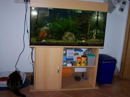 Aqarium 200l inkl . Allemfür 150 -Euro zu verkaufen