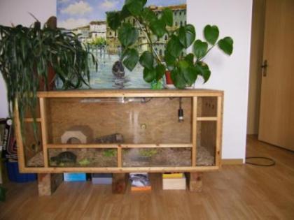 Schildkröte Terrarium zu verkaufen