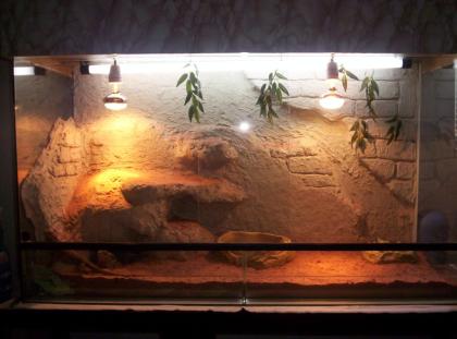Terrarium mit Zub. Unterschr Lichtkasten 120x60x80