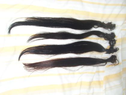Haarverlängerung Verkaufe Echthaar entw. 60 russ. cm o. 50 cm ind. Tempelhaa