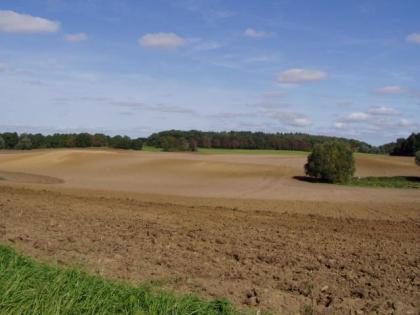 Agrarimmobilien Ackerland