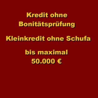 Kredit bis maximal 50. 000 Euro ohne Schufaprüfung