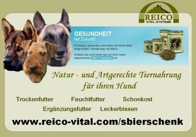 Gesundes trendiges - Ihr Vierbeiner wird Danke sagen