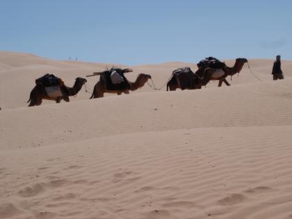 Sahara Trekking Ende Oktober