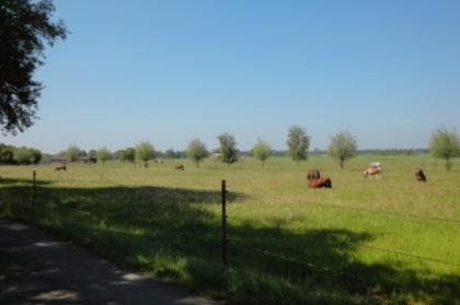 Restbauernhof für gewerbl. Tierhaltung sehr gepflegt in ländl. ruhiger Lage