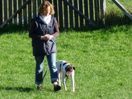 Orion - Fernsehauftritt bei Menschen Tiere und Doktoren