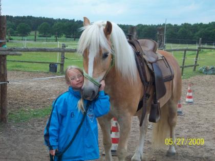 Biete Reitbeteiligung. Freizeit Western