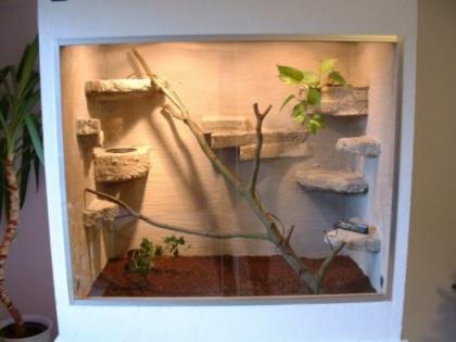 Terrarien-Bau auch nach Ihren Wünschen für alle Reptilien