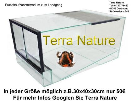 Aufzuchtterrarium Dendrobaten- oder Froschterrarien Landgangterrarium
