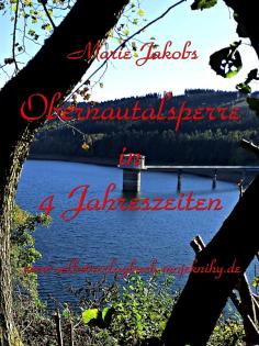 OBERNAUTALSPERRE IN 4 JAHRESZEITEN - Bildpublikation von Marie Jakobs