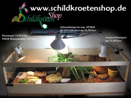 Holzterrarien 80 100 oder 120 cm lang NEU